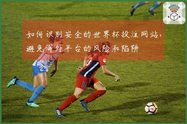 如何识别安全的世界杯投注网站，避免海外平台的风险和陷阱