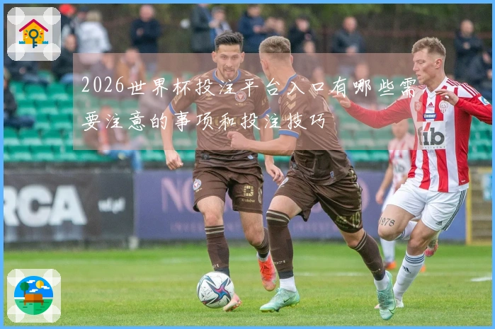 2026世界杯投注平台入口有哪些需要注意的事项和投注技巧