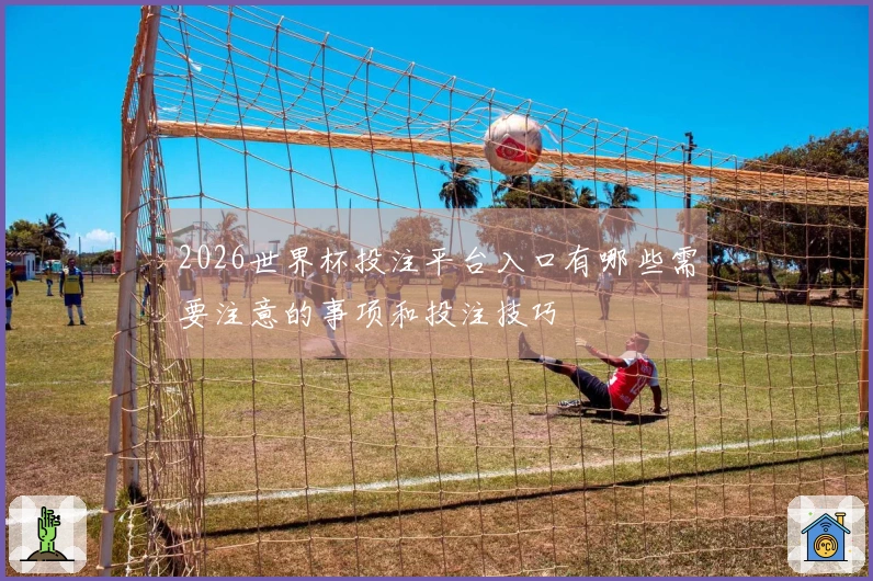 2026世界杯投注平台入口有哪些需要注意的事项和投注技巧