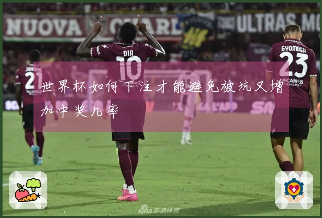 世界杯如何下注才能避免被坑又增加中奖几率
