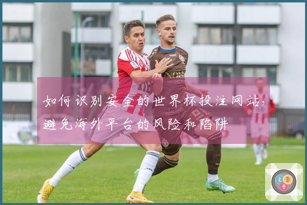 如何识别安全的世界杯投注网站，避免海外平台的风险和陷阱