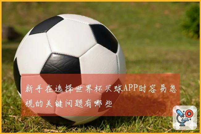 新手在选择世界杯买球APP时容易忽视的关键问题有哪些